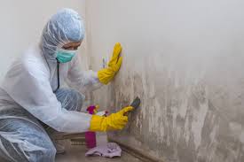  Heyworth, IL Mold Removal Services Pros